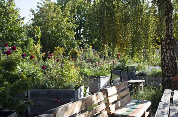 10 Jahre Stadtgarten – 10 Jahre Urban Gardening in Nürnberg